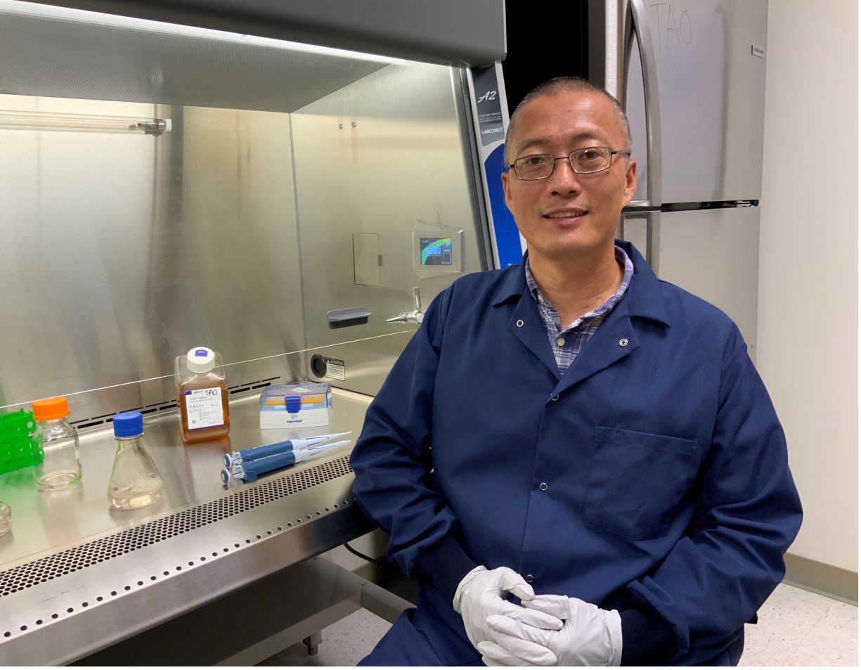 Li Tao in Lab